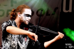 CircusOfFools_010_SCH_9084