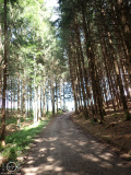 P7300346