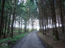 P7300417