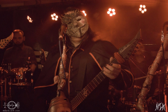 SZIMG_0008X-low-light