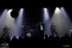 sots25DSC_1161X-low-light