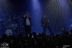 sots25DSC_1162X-low-light