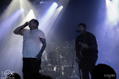 sots25DSC_1419X-low-light