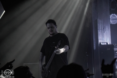 sots25DSC_1436X-low-light