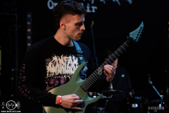 SkgmrWPOA25DSC_8515X-low-light