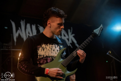 SkgmrWPOA25DSC_8521X-low-light