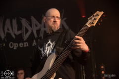 SkgmrWPOA25DSC_8799X-low-light