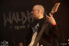 SkgmrWPOA25DSC_8802X-low-light