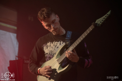 SkgmrWPOA25DSC_8903X-low-light