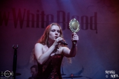 073-SnowWhiteBlood-1812