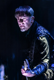 Snow_White_Blood-Ruesselsheim-Das_Rind-2022-04-02-PS__1521