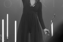 DSC3722
