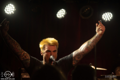 styg1107DSC_1140X-low-light