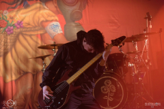 substickstygDSC_0271X-low-light