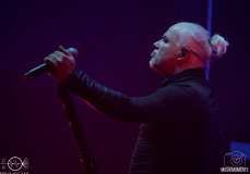 SubwayToSally-Dortmund-EisheiligeNacht-LN-20-12-2024-42