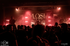 SylsprevDSC_9788X-low-light