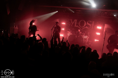 sylssub0102DSC_0168X-low-light