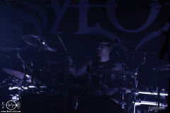 sylssub0102DSC_0413X-low-light