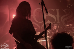 sylssub0102DSC_0693X-low-light