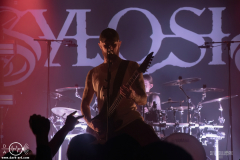 sylssub0102DSC_9803X-low-light