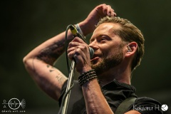 Fiddlers-Green-TCL_2806