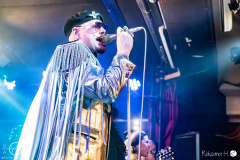 the-night-flight-orchestra-Aschaffenburg-19-02-2025-rh-49