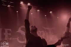 tsp25DSC_4674X-low-light