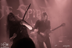 tsp25DSC_4770X-low-light