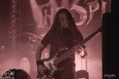 tsp25DSC_4874X-low-light