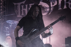 tsp25DSC_5162X-low-light