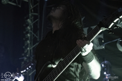 tsp25DSC_5199X-low-light