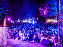 Tom_Wax-Pfungstadt-Phungo-SA-20-08-2022-TF-16-of-21