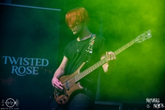 TwistedRose-1083