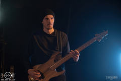 ViroCWPOA25DSC_1459X-low-light