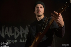 ViroCWPOA25DSC_1586X-low-light