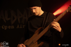 ViroCWPOA25DSC_1853X-low-light