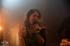 ViroCWPOA25DSC_2004X-low-light