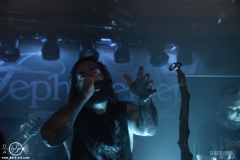 WaldG061125DSC_0554X-low-light