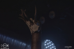 WaldG061125DSC_9644X-low-light