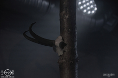 WaldG061125DSC_9646X-low-light