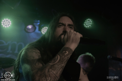 WaldG061125DSC_9654X-low-light