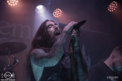 WaldG061125DSC_9805X-low-light