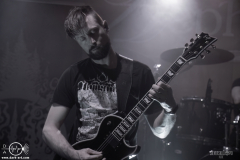 WaldG061125DSC_9810X-low-light