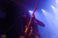 Warfield2025DSC_5790X-low-light