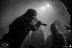 welicoruss-b-Hof-11.02.23-rh-HEA_1001-DeNoiseAI-severe-noise