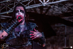 welicoruss-b-Hof-11.02.23-rh-HEA_1142-DeNoiseAI-severe-noise