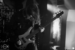 welicoruss-b-Hof-11.02.23-rh-HEA_1934-DeNoiseAI-severe-noise