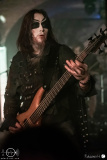 welicoruss-b-Hof-11.02.23-rh-HEA_2152-DeNoiseAI-severe-noise