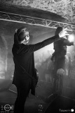 welicoruss-b-Hof-11.02.23-rh-HEA_2167-DeNoiseAI-severe-noise