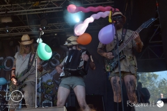 Fr_Wacken-open-air_Trollfest_DSC_8653